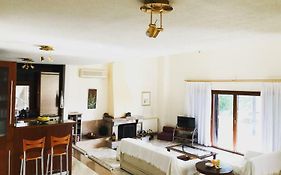 Bright & Spacious Seaview Villa